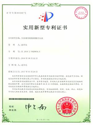 Patent certificate of DP gauge with null setting