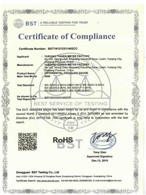 ROHS differential pressure gauge