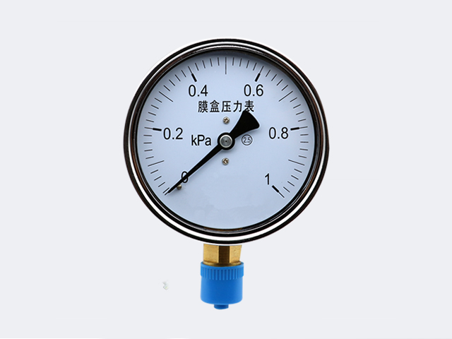 YE-100 Ordinary Type Capsule pressure gauge