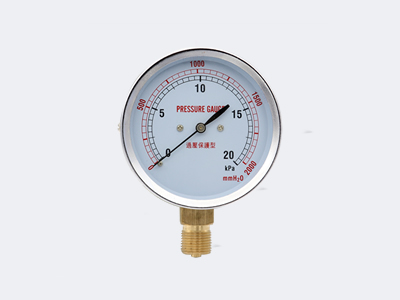 YE-75 Ordinary Type Capsule Pressure Gauge